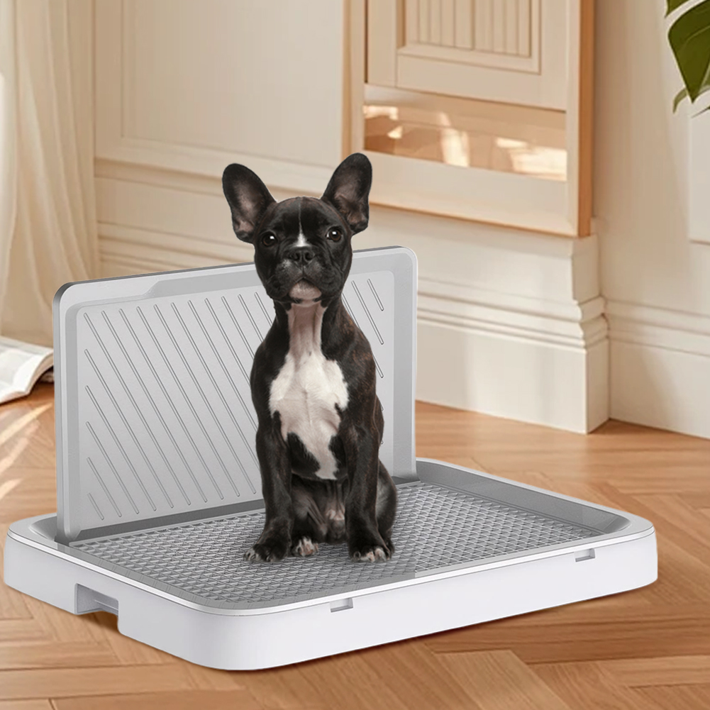 Dog Potty Tray with Pee Wall T – Bench Dog Hole Bewertung und Preis
