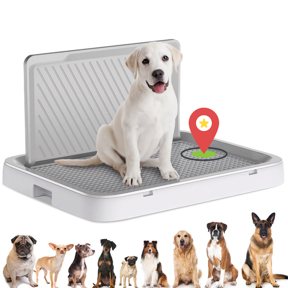 Dog Potty Tray with Pee Wall P – Bench Dog Hole Bewertung und Preis