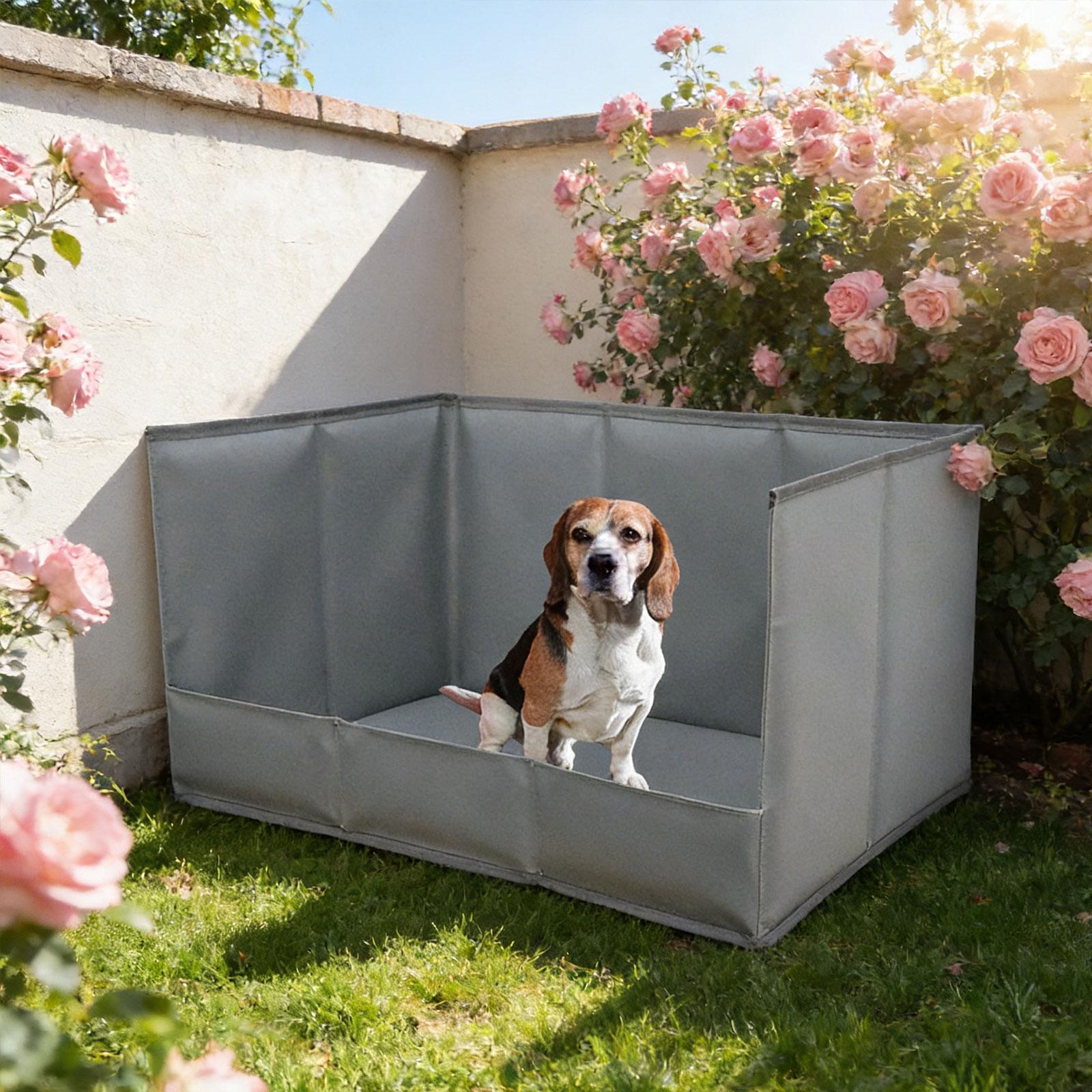 Portable Indoor Dog Potty Tray – Bench Dog Hole Bewertung und Preis